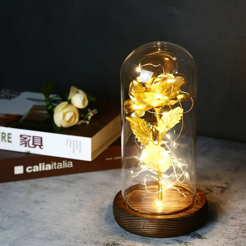 Enchanted Love Rose