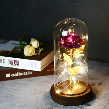 Enchanted Love Rose