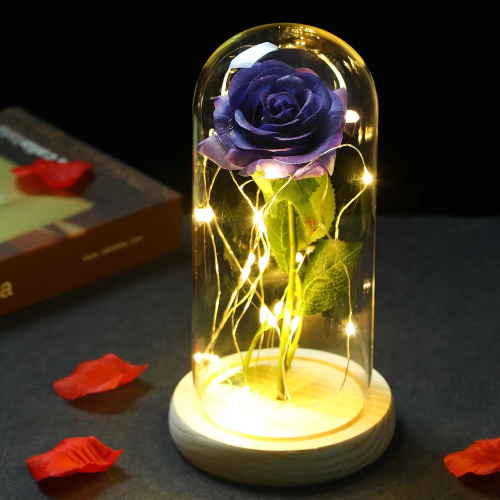 Enchanted Love Rose