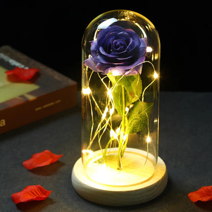 Enchanted Love Rose