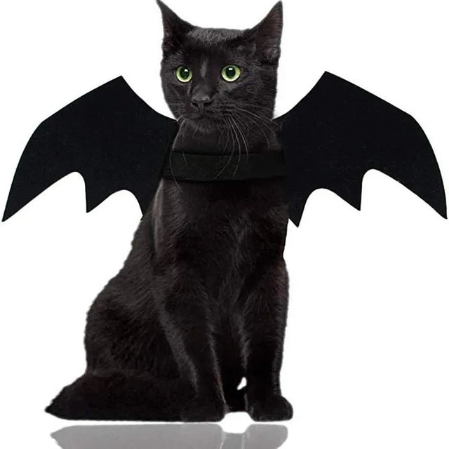 PawsCos™ Cat Bat Wings Costume