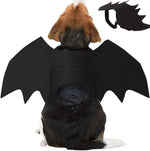 PawsCos™ Cat Bat Wings Costume