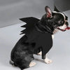 PawsCos™ Cat Bat Wings Costume
