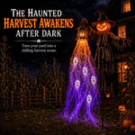 Animated Soul Harvester Halloween Light