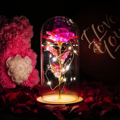 Enchanted Love Rose