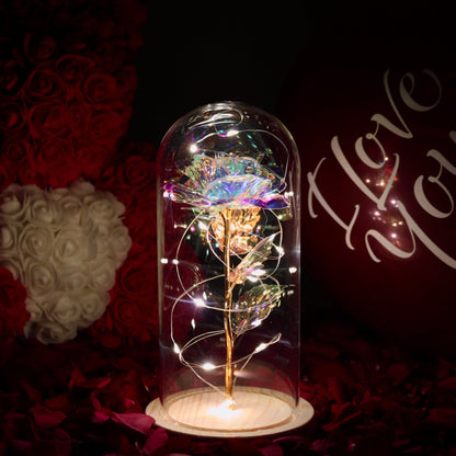 Enchanted Love Rose