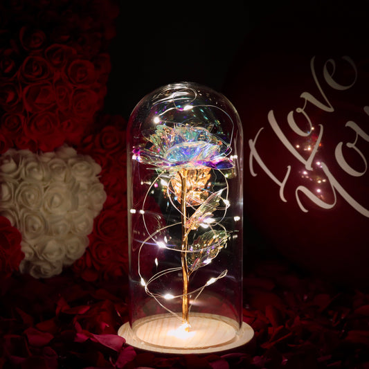 Enchanted Love Rose