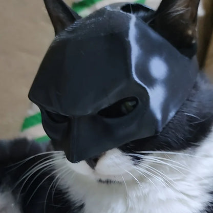 BatNite™ Midnight Mischief Bat Photo Helmet