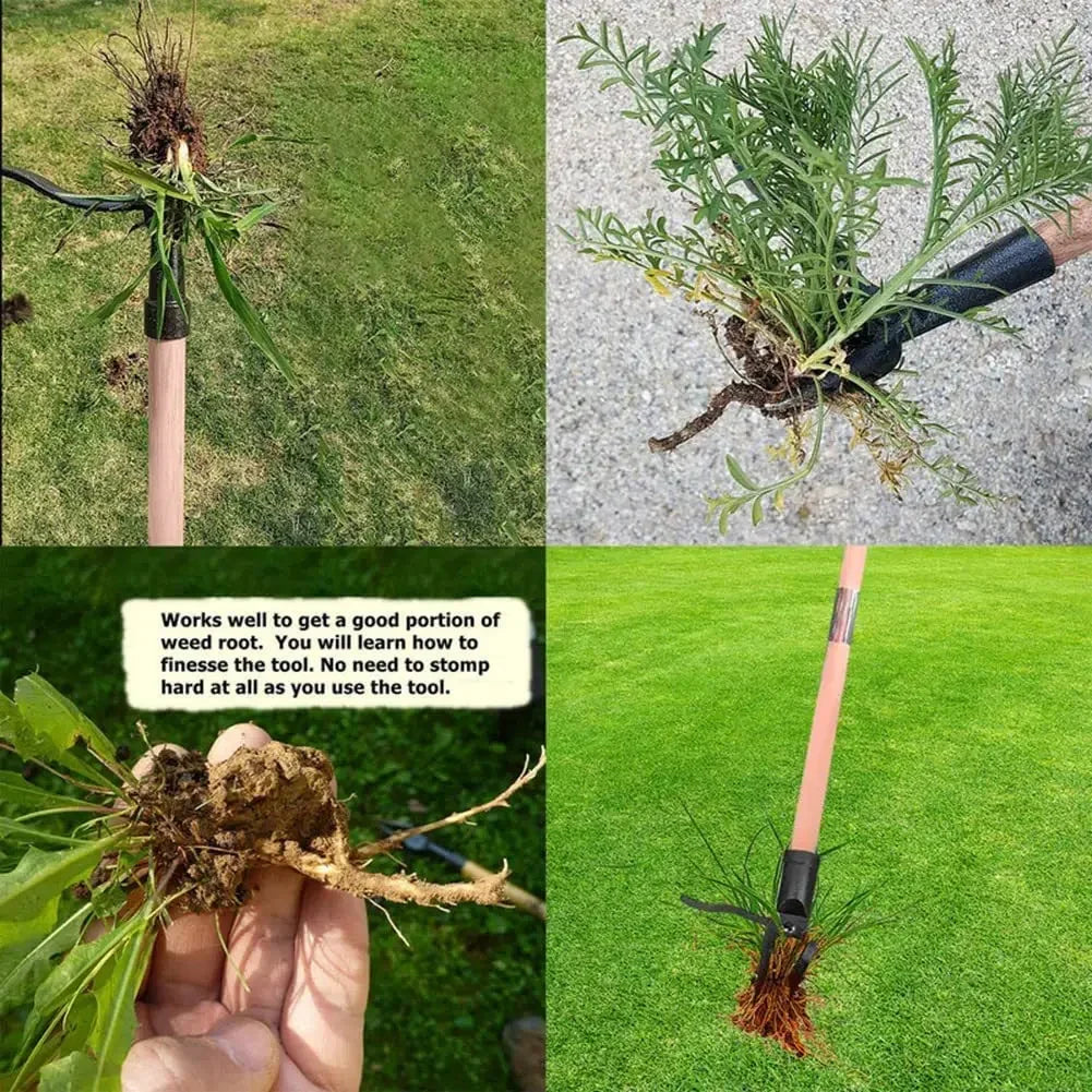 Rootly™ - Easy Stand Weed Remover
